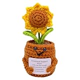 HVIHWI Flores de ganchillo hechas a mano, regalo de apoyo emocional, pequeñas decoraciones de escritorio de punto en maceta, lindo corazón rojo, planta en maceta, regalo motivacional para desmalezar